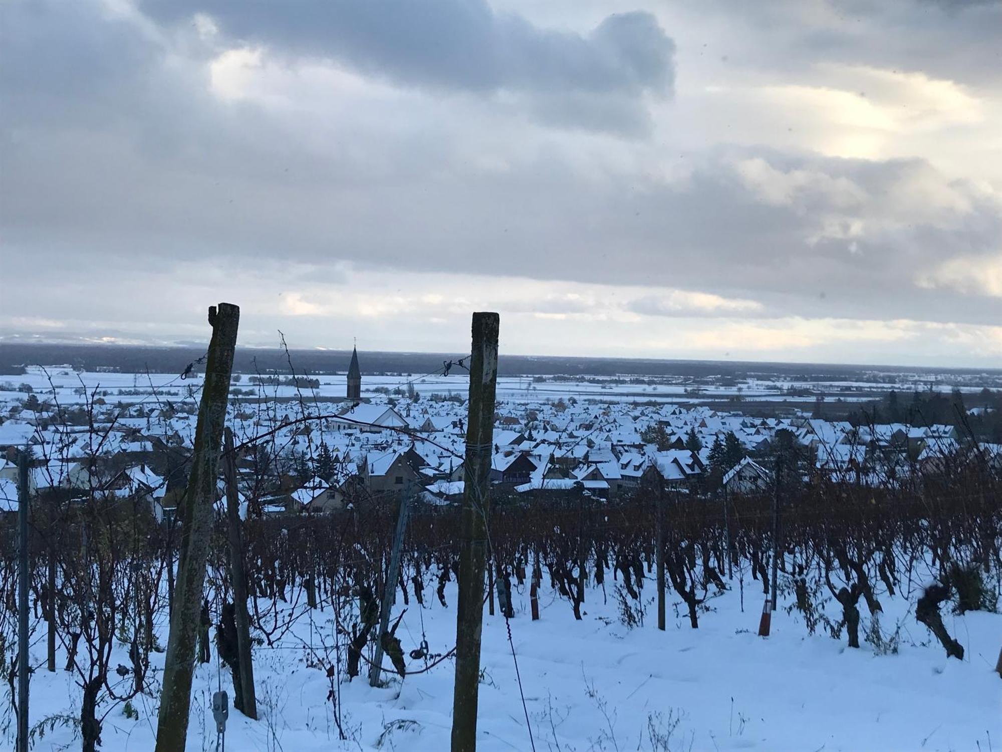坎特赞Le Logis Du Vignoble公寓 外观 照片